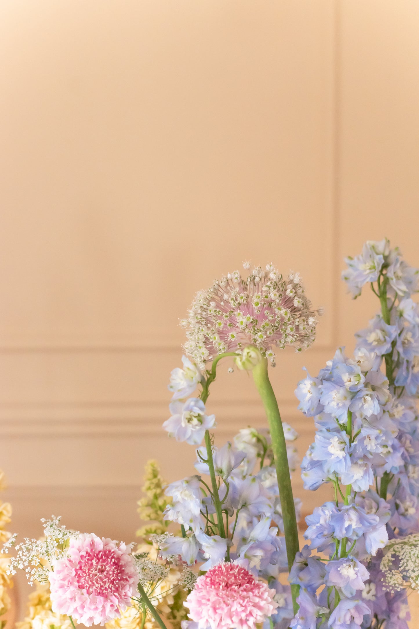 Curso corto - Diseño de jardín orgánico: pequeños paisajes florales
