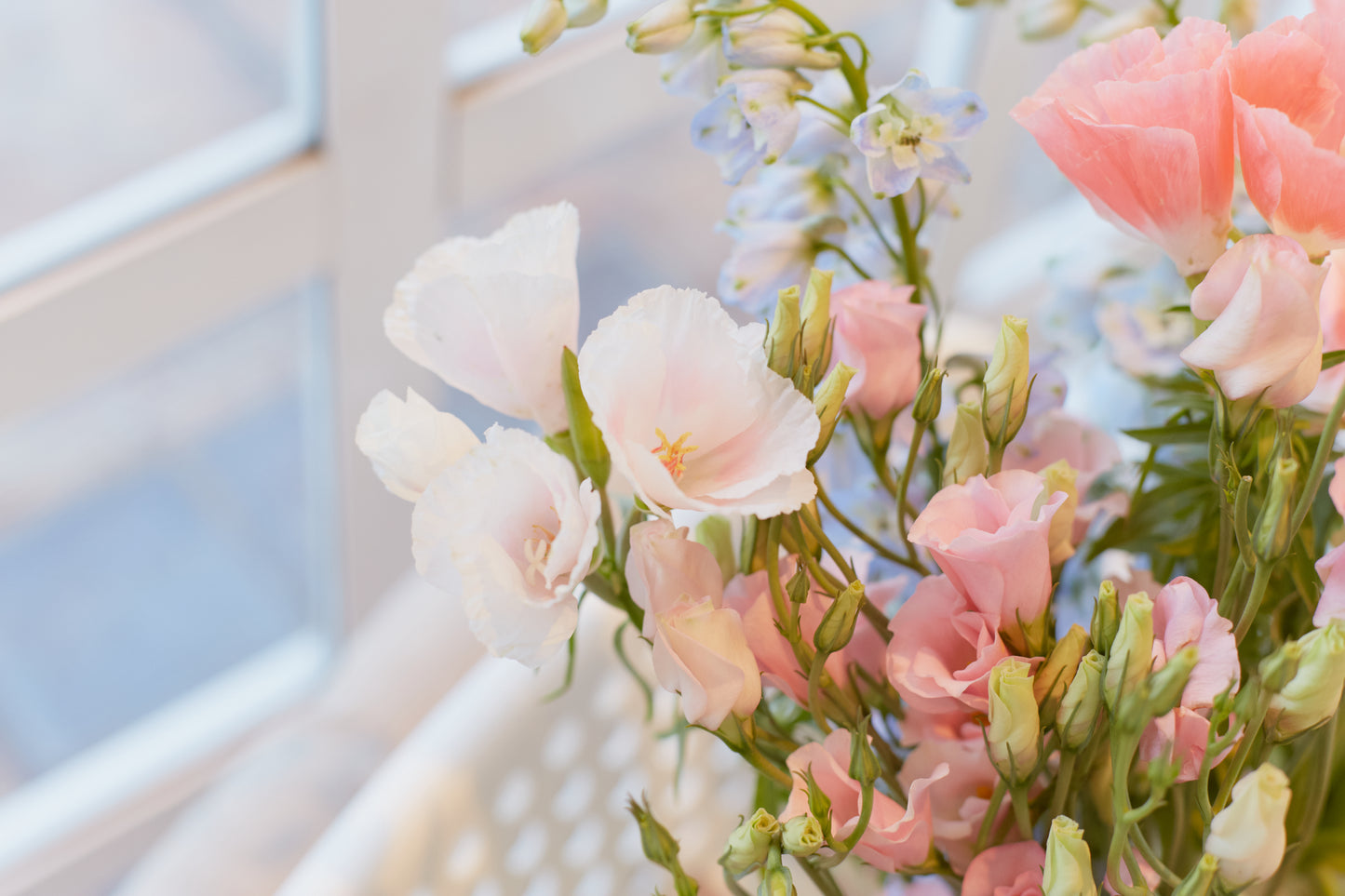 Curso corto – Principios de la floristería, selección y reconocimiento floral