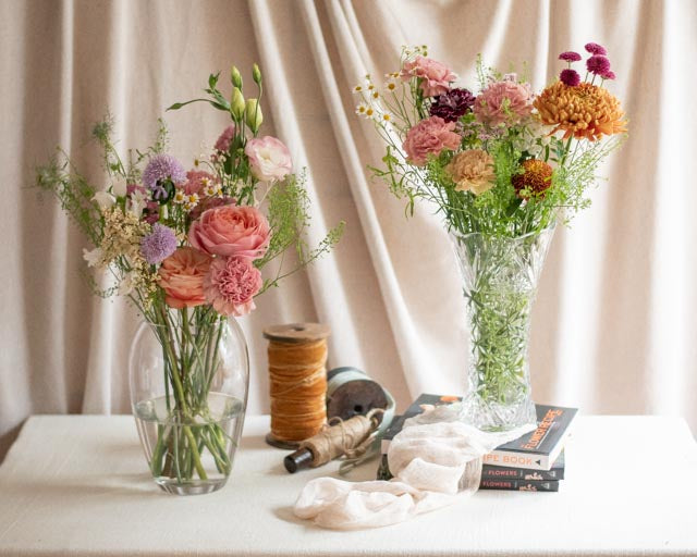 Plan Brillo floral