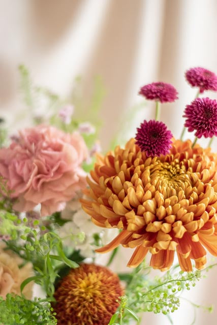 Plan Alegría floral