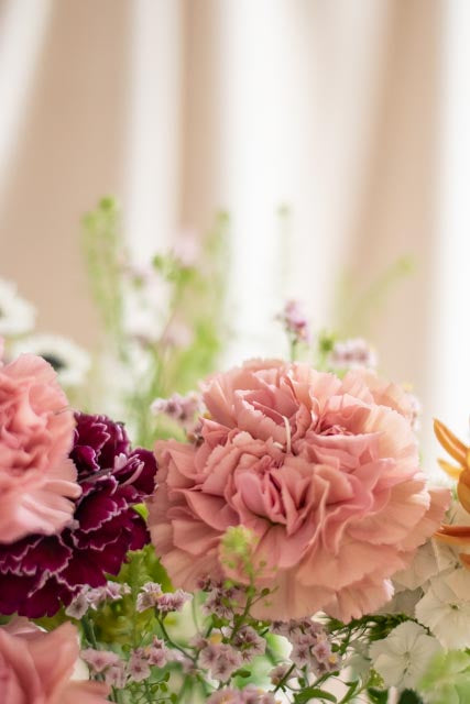 Plan Alegría floral