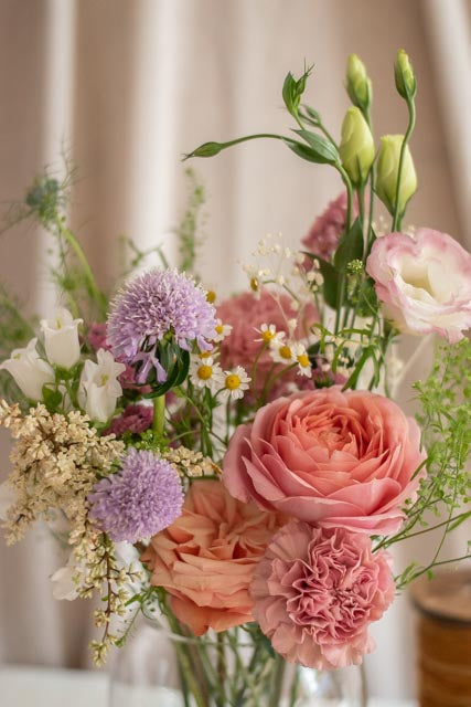 Plan Brillo floral