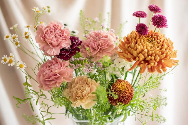 Plan Alegría floral