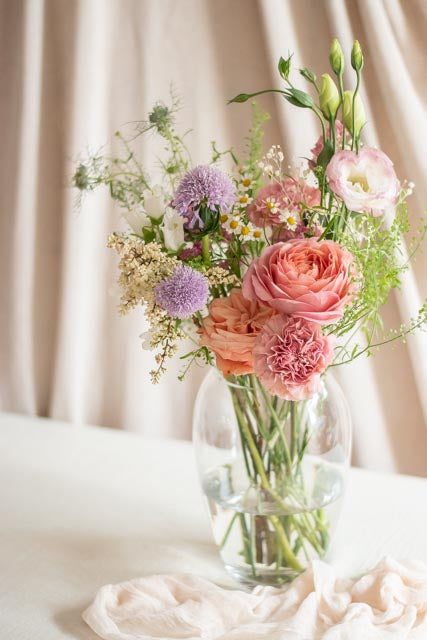 Plan Brillo floral