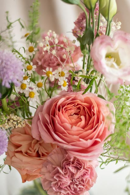 Plan Brillo floral