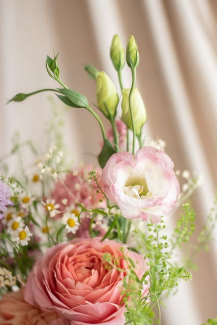 Plan Brillo floral
