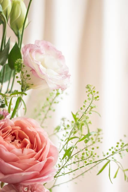 Plan Brillo floral
