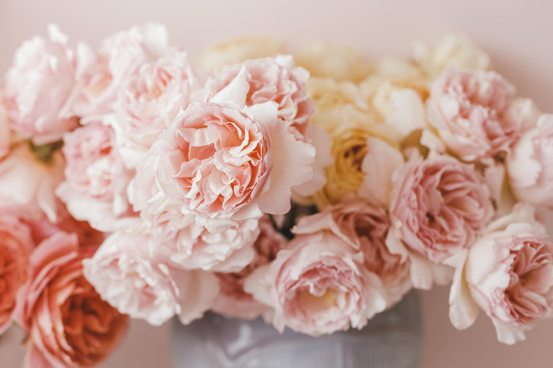 ¿Cómo cuidar nuestras flores y bouquets?