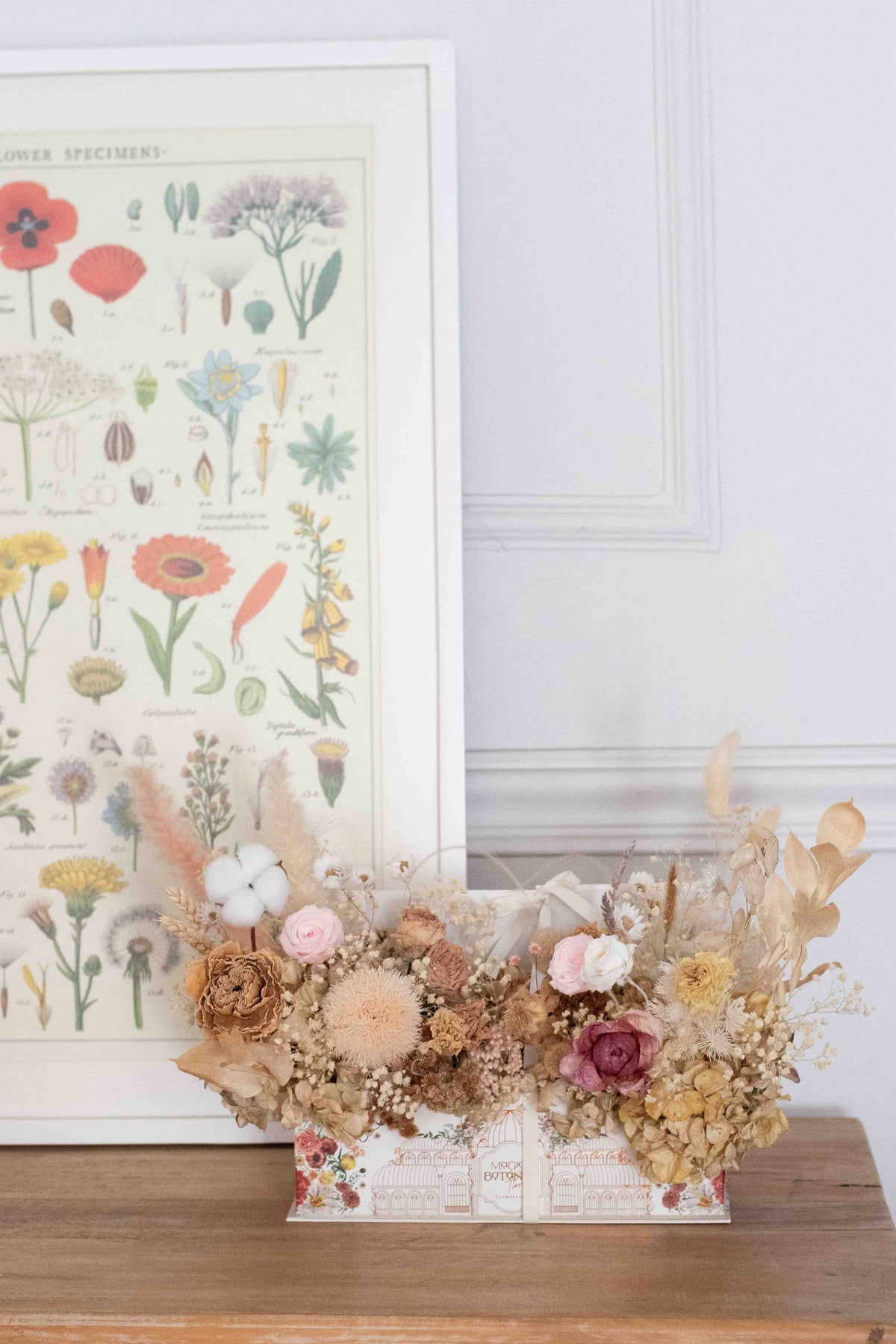 Jardín de magia y botánica, composición de rosas preservadas y flores secas en caja ilustrada, Clementina Medellín