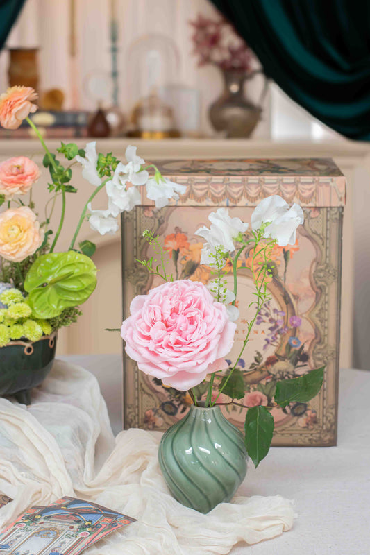 Retrato de una Rosa, solitario de rosa de lujo en florero de cerámica verde junto a caja ilustrada coleccionable, Les Petits de Clementina Estudio Floral Medellín