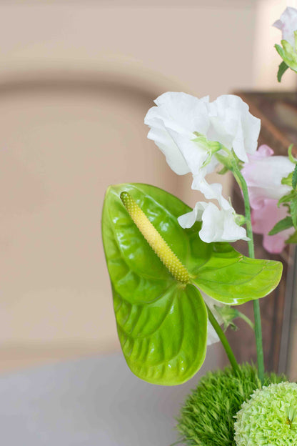 Detalle de Florilegio, anturio verde escultural y sweet pea blanco, Les Petits de Clementina Estudio Floral Medellín