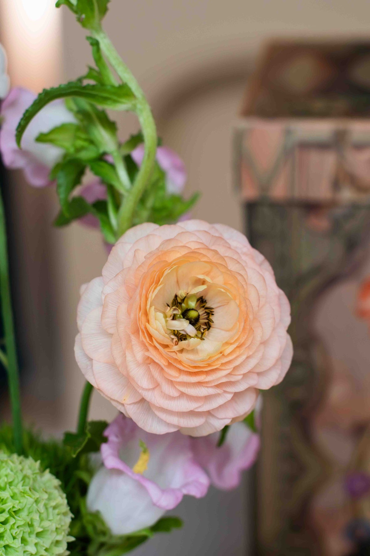 Detalle de Florilegio, ranúnculo de pétalos delicados con green ball y sweet pea, Les Petits de Clementina Estudio Floral Medellín
