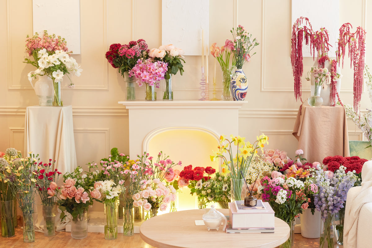 Reconocimiento de flores y follajes – curso corto de Clementina Flower School (6)