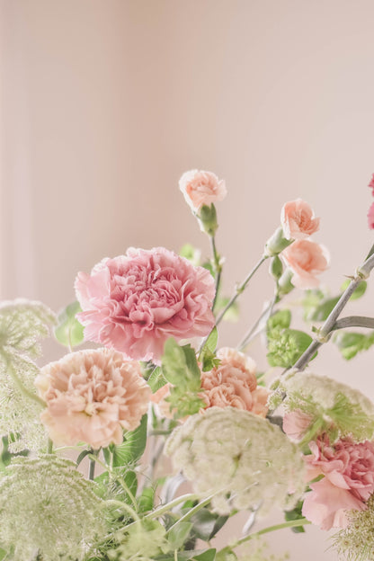 Caja Magia Floral - Claveles