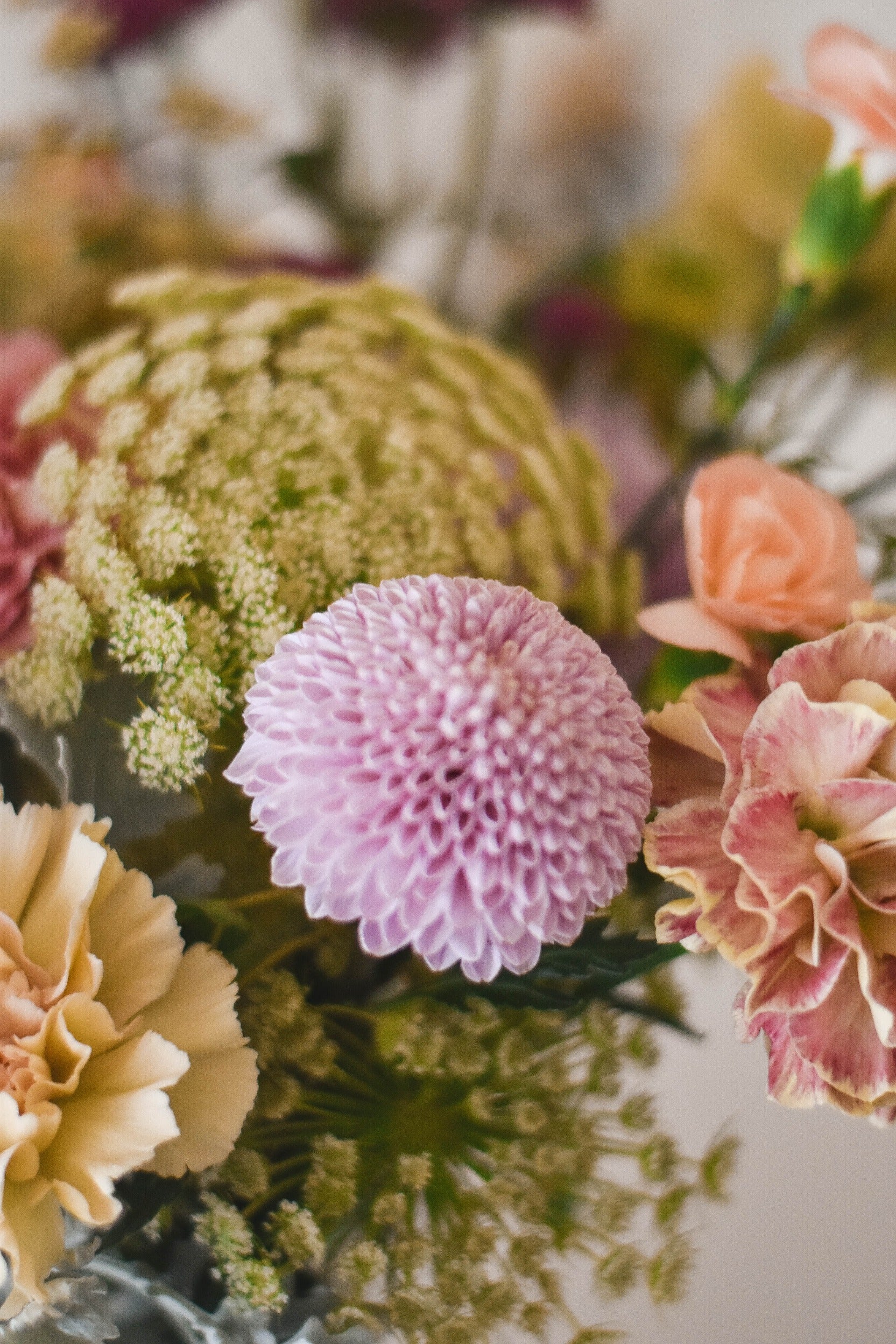 Caja Magia Floral - Crisantemos