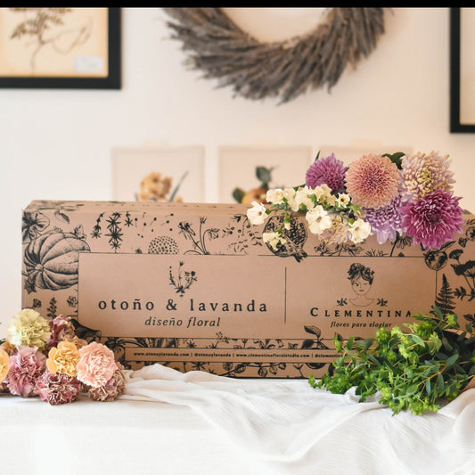 Caja Magia Floral - Claveles